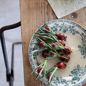 名古屋市名東区の花屋「アトリエ凜花」インスタグラム03