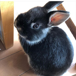 名古屋市名東区の花屋「アトリエ凜花」インスタグラム04