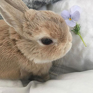 名古屋市名東区の花屋「アトリエ凜花」インスタグラム07