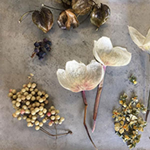 名古屋市名東区の花屋「アトリエ凜花」インスタグラム10