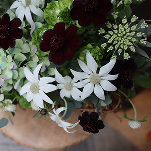 名古屋市名東区の花屋「アトリエ凜花」アレンジメント11